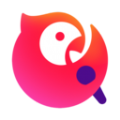免费vp n节点
