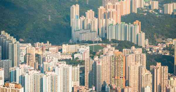 快乐梯子官网